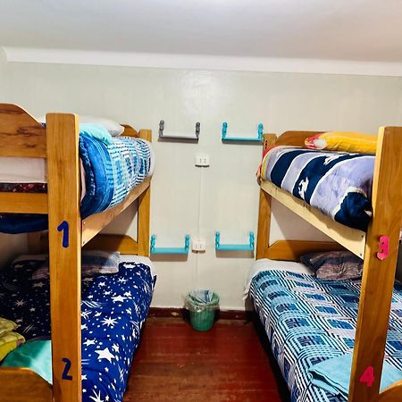 Ukumari Hostel クスコ エクステリア 写真