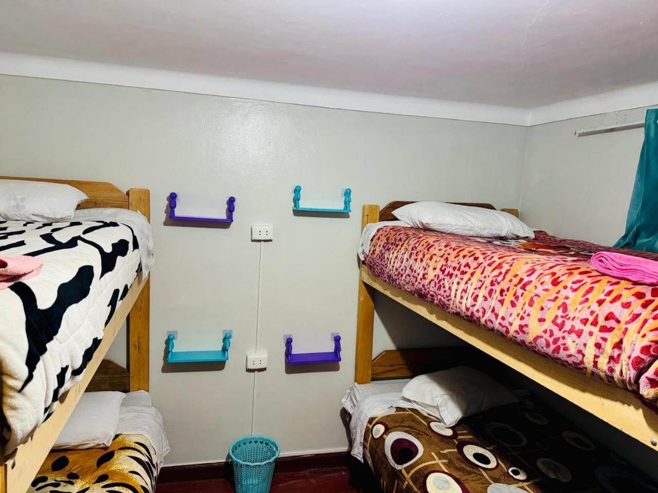 Ukumari Hostel クスコ エクステリア 写真