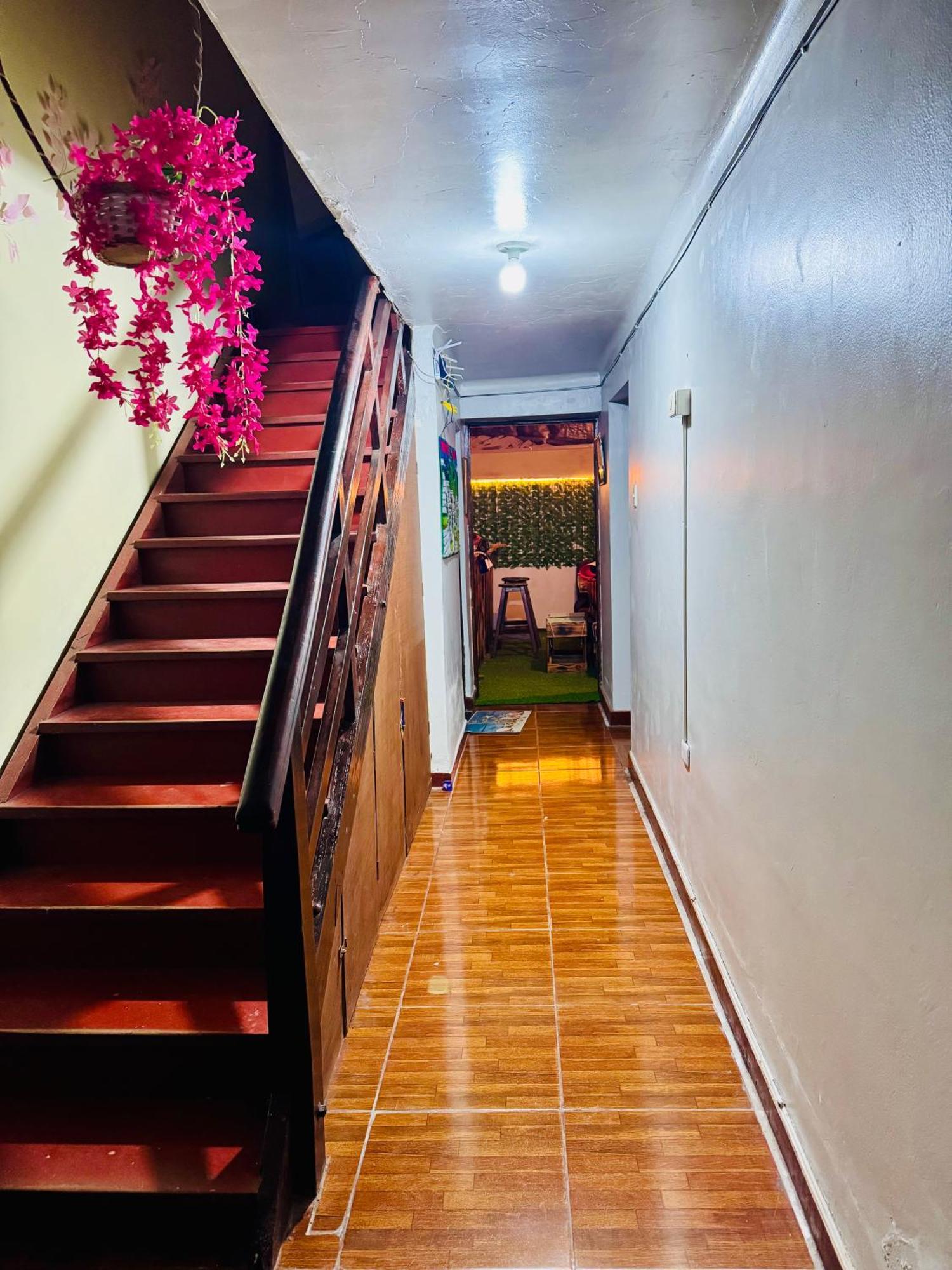 Ukumari Hostel クスコ エクステリア 写真