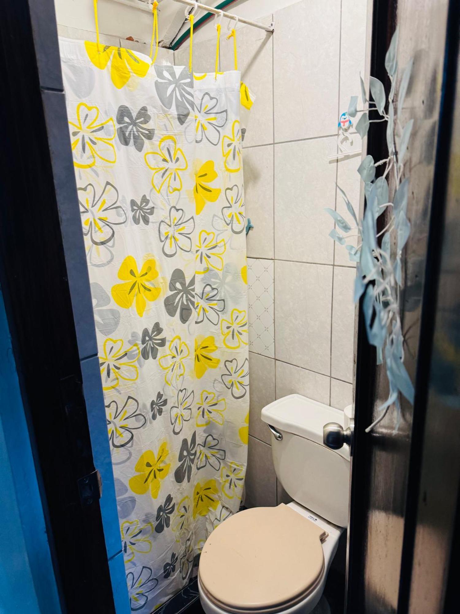 Ukumari Hostel クスコ エクステリア 写真