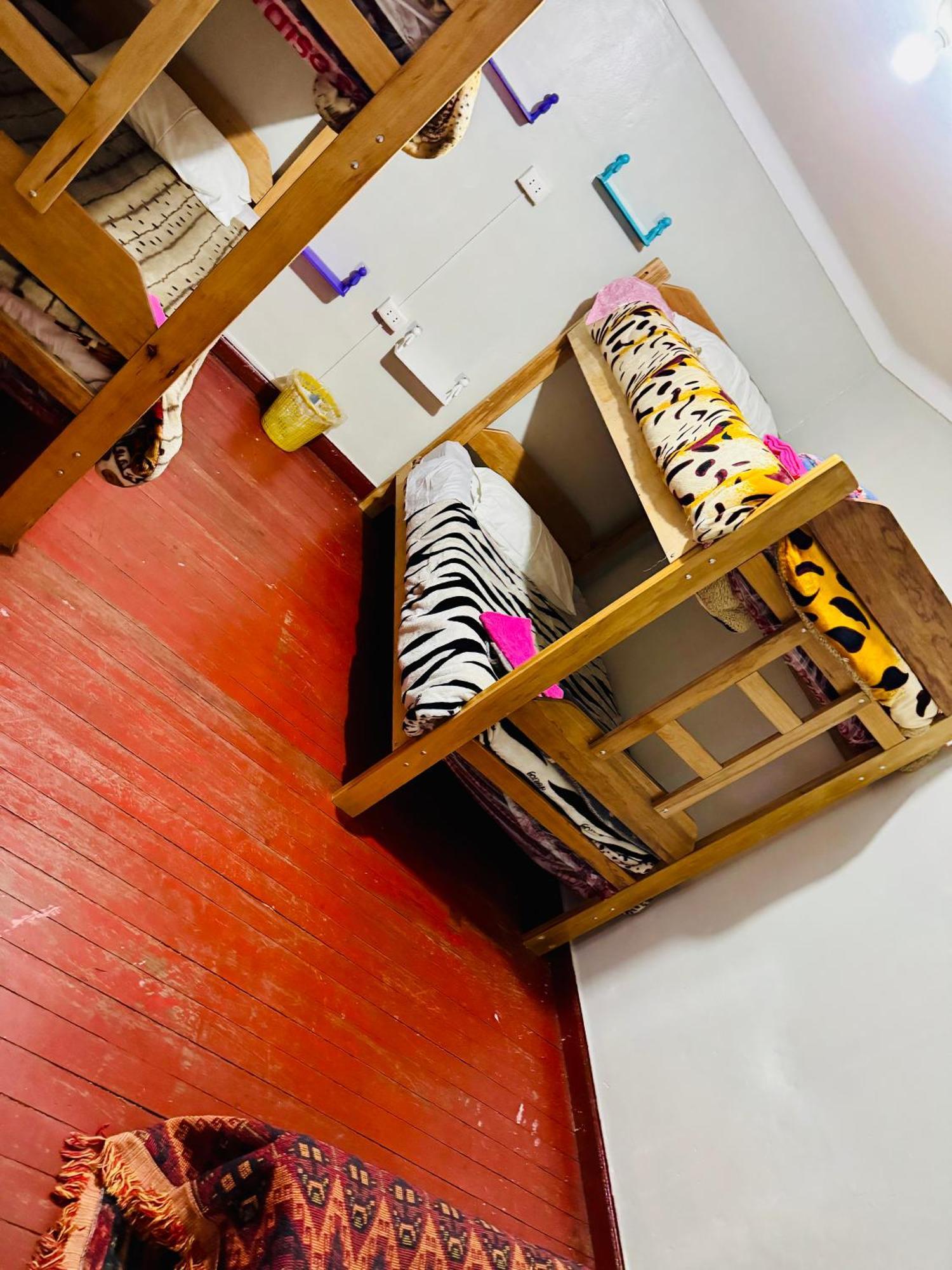 Ukumari Hostel クスコ エクステリア 写真