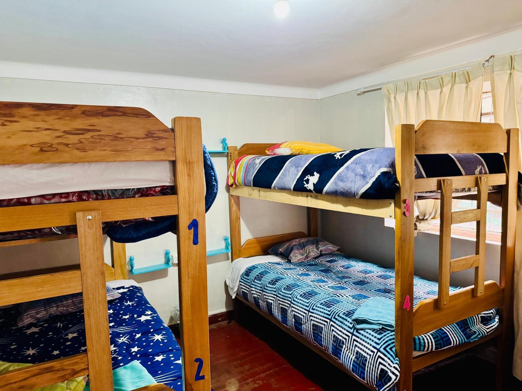 Ukumari Hostel クスコ エクステリア 写真